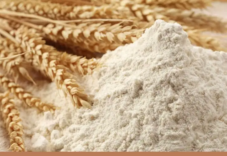 Ұн экспорты НЕГЕ дамымай жатыр?