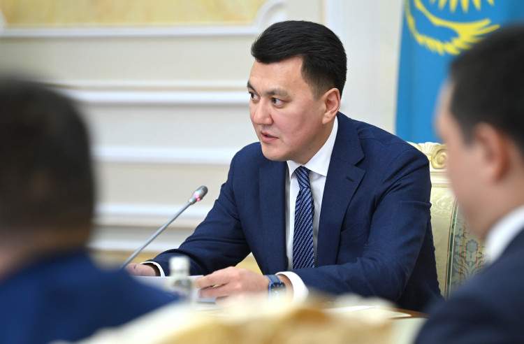 Ерлан ҚАРИН: Сайлауалды бағдарламадағы Президенттің маңызды бастамалары тиімді жүзеге асырылуда