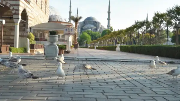 Төрт күндік коменданттық сағат енгізеді