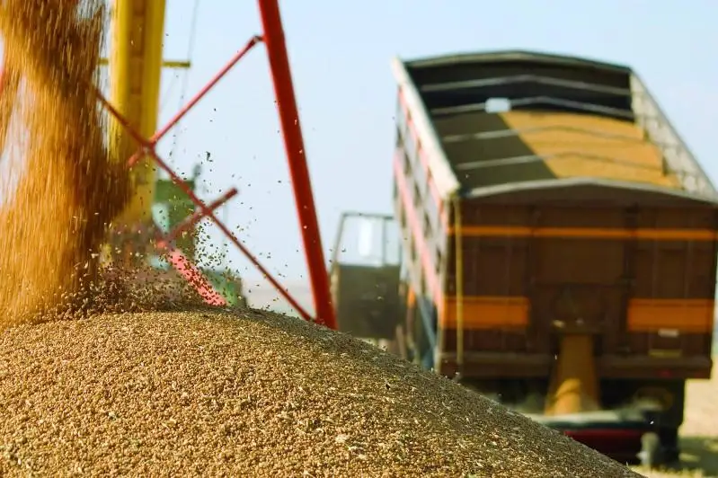 3,1 млн тонна астық жиналды