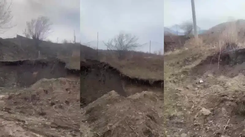 Алматы тауларында қара топырақ ұрланып жатыр