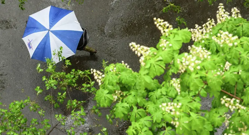 Қазақстанның бірқатар өңірінде ескерту жарияланды 