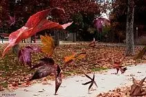 Екі облыста күн бұзылды