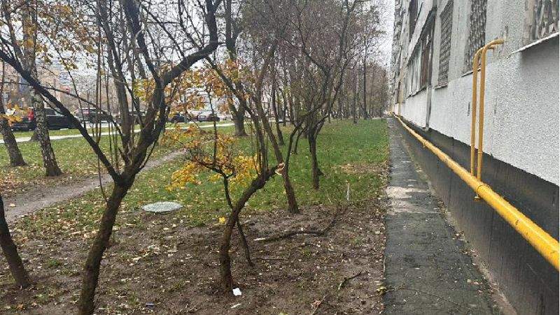 Анасы бір жасар қызын 11-қабаттан лақтырып жіберді