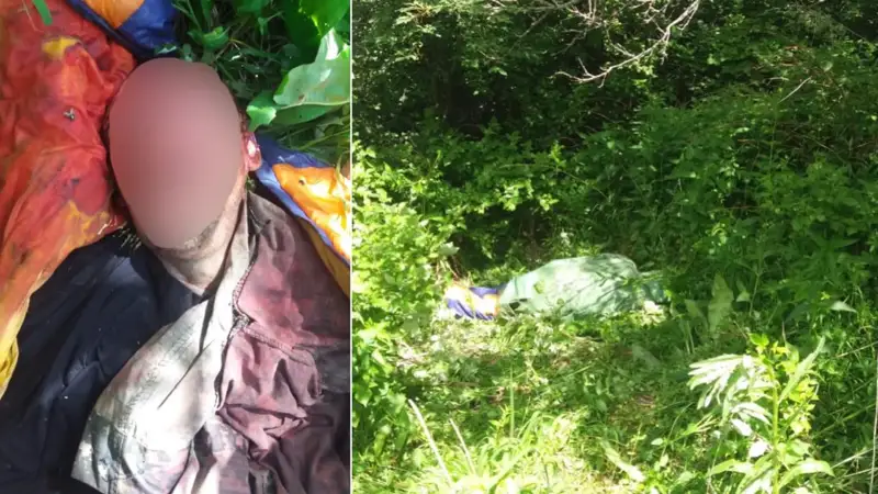 Қонжығын қорғамақ болған аю адамды талап өлтірді