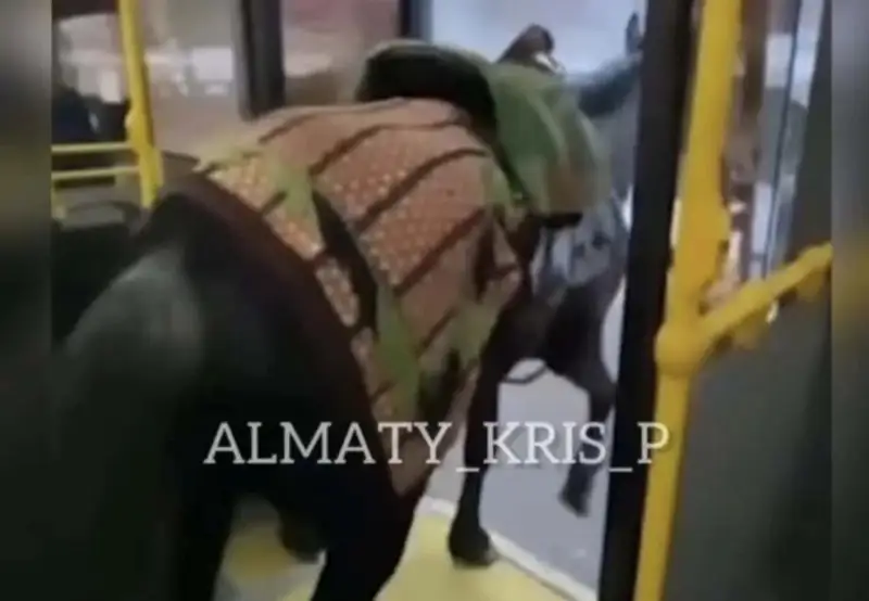 Алматыда қоғамдық көлікке атпен кірген азамат жауапкершілікке тартылды