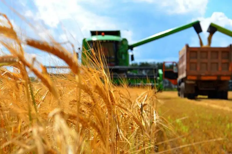 Егін жинау қарқыны артты
