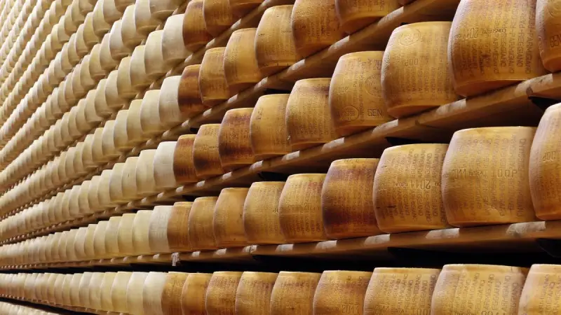 Табыт ішіндегі ірімшік