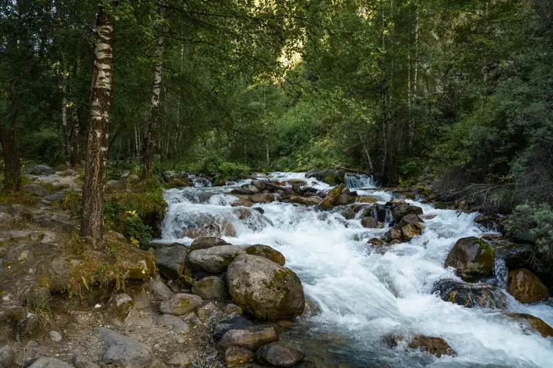 Ғылыми зерттеулер – экотуризмнің негізгі бастауы 