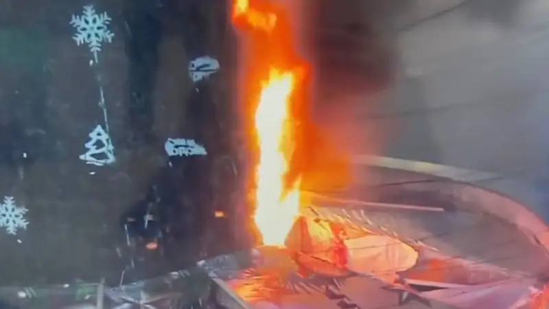 Тараз шырша