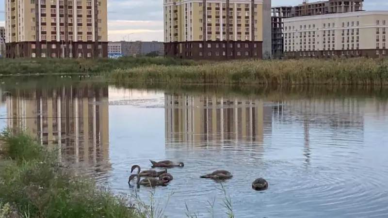 «Талдыкөл» табиғи саябаққа айналады