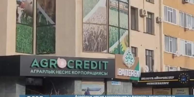 «Аграрлық несие корпорациясы» филиалы директорының бұрынғы орынбасары сотталды