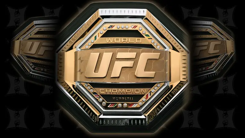 UFC-де жылдың үздік файтері анықталды