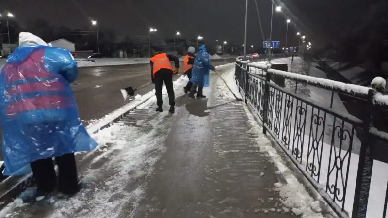Алматыда көктайғақтың алдын алу шаралары жүріп жатыр
