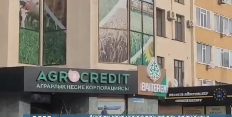 «Аграрлық несие корпорациясы» филиалы директорының бұрынғы орынбасары сотталды