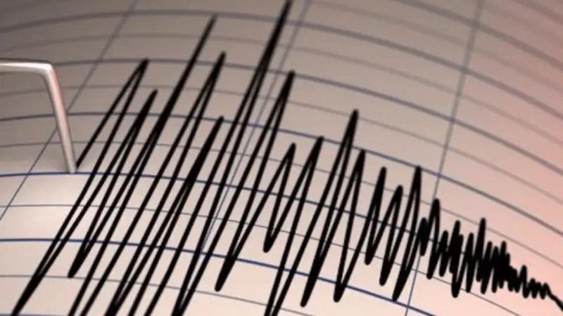 Жер сілкінісі