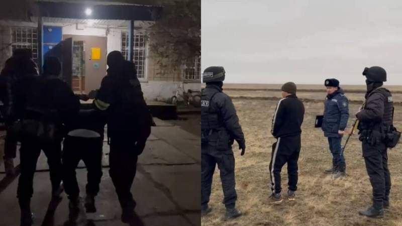 Мал ұрлығы