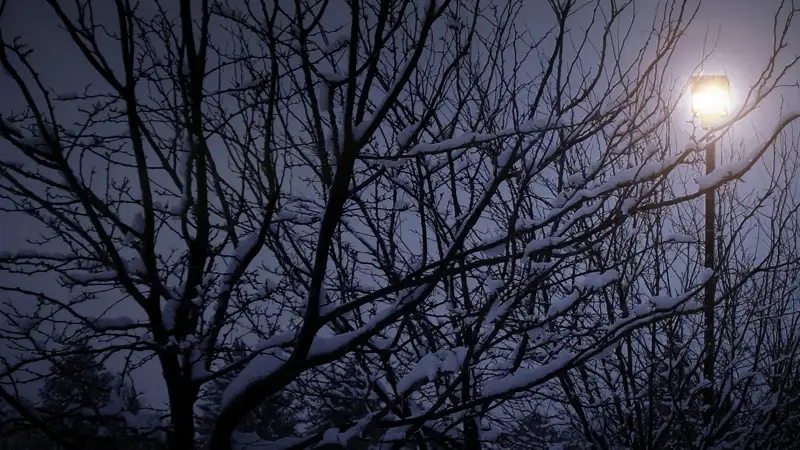 Тал түбінде қыста