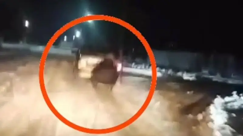 Кобелякиде секс үшін қыз без регистрации