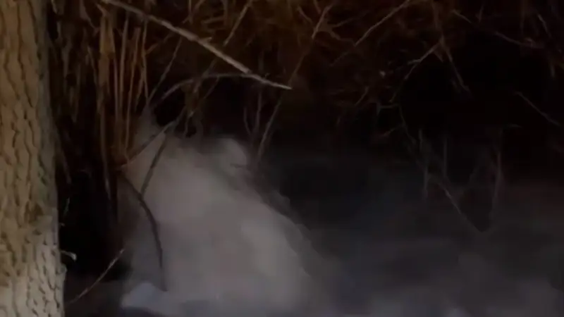 су деңгейі көтерілді