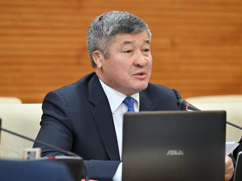 Дәулет Тұрлыханов, депутат