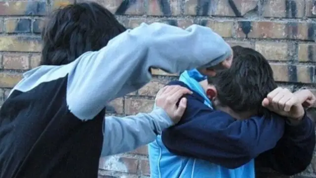 Жасөспірімді соққыға жықты