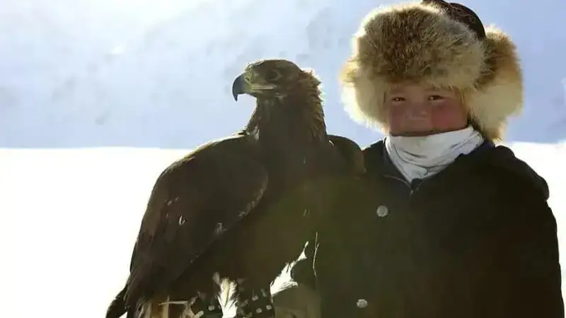 Бүркітші Айшолпан