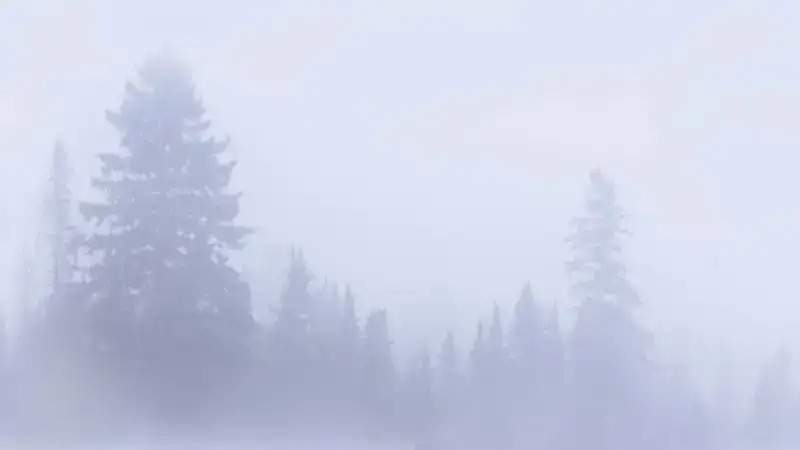 кыс