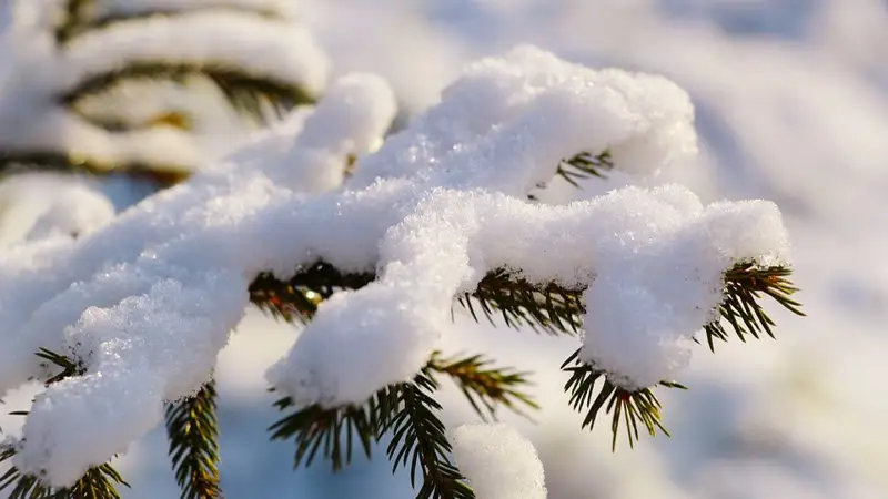 Қыс, ауа райы