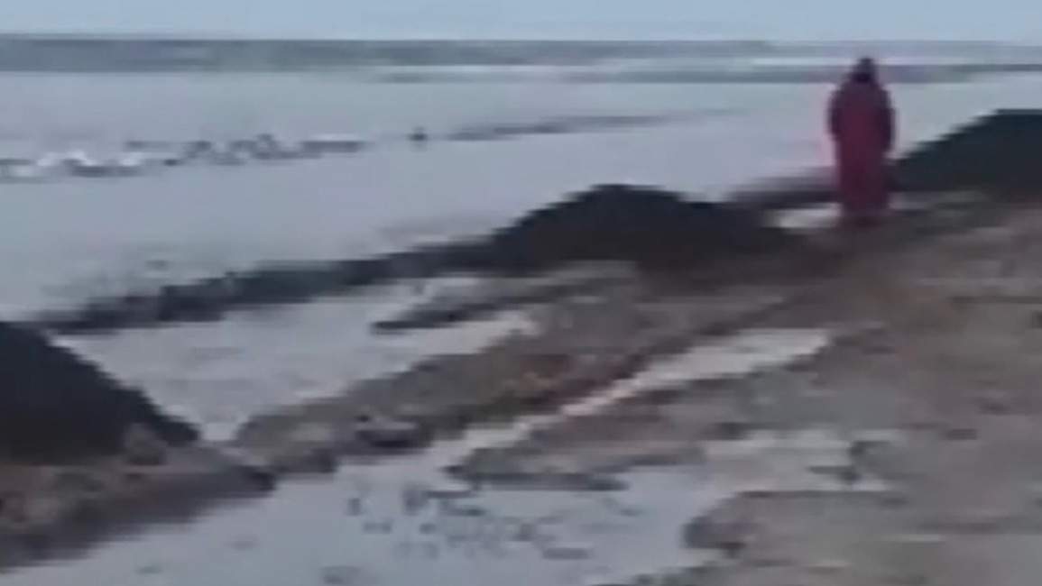 Қар суы