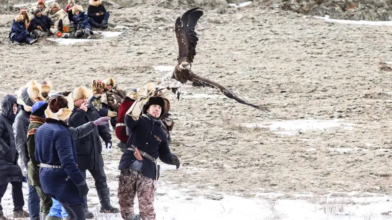 Құсбегілік