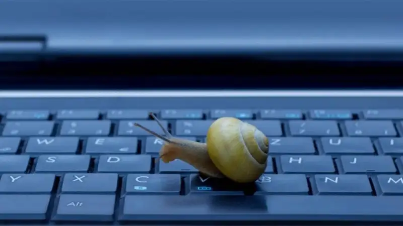 Интернет сапасы