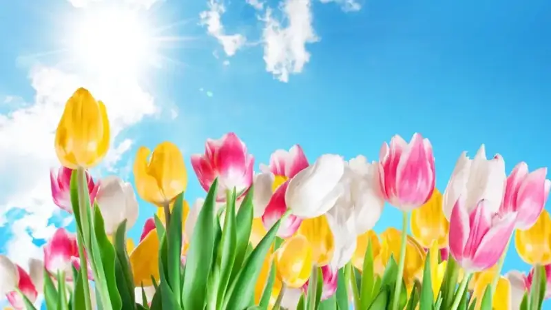 Наурыз мерекесі