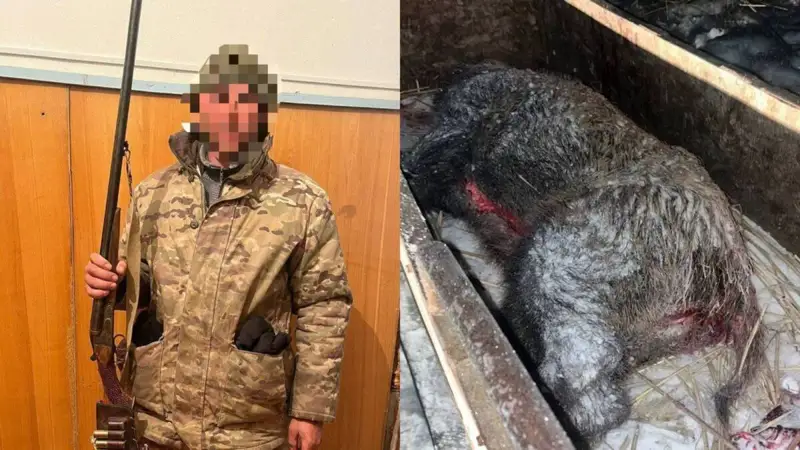 браконьерлер