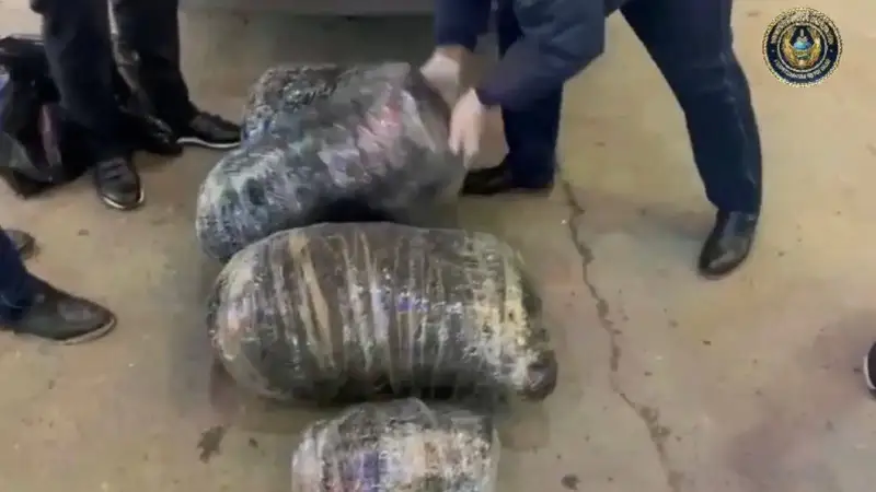 марихуана тәркіленді