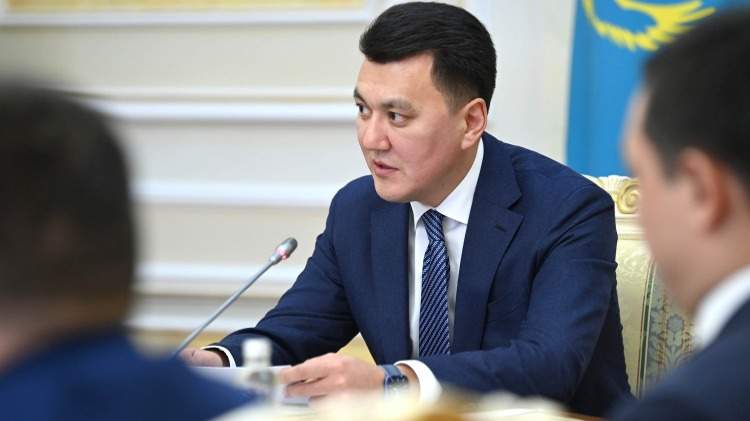 Мемлекеттік кеңесші