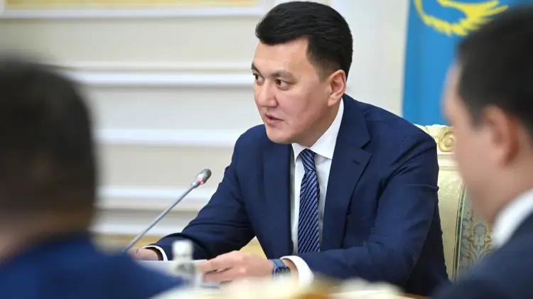 Мемлекеттік кеңесші