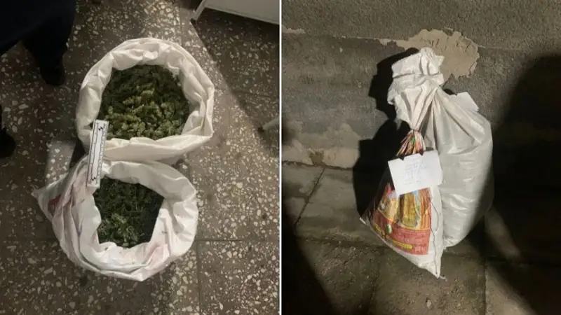 Үнді марихуанасы тәркіленді