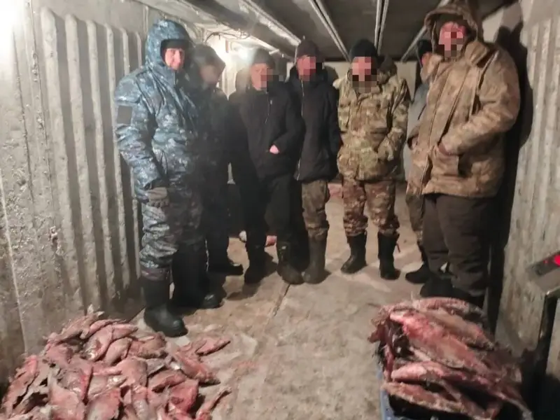 Заңсыз балық аулау