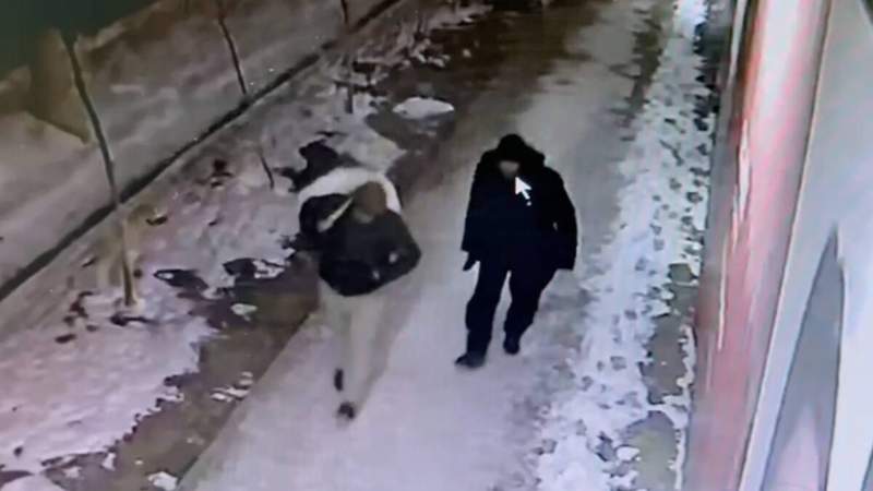 Полиция