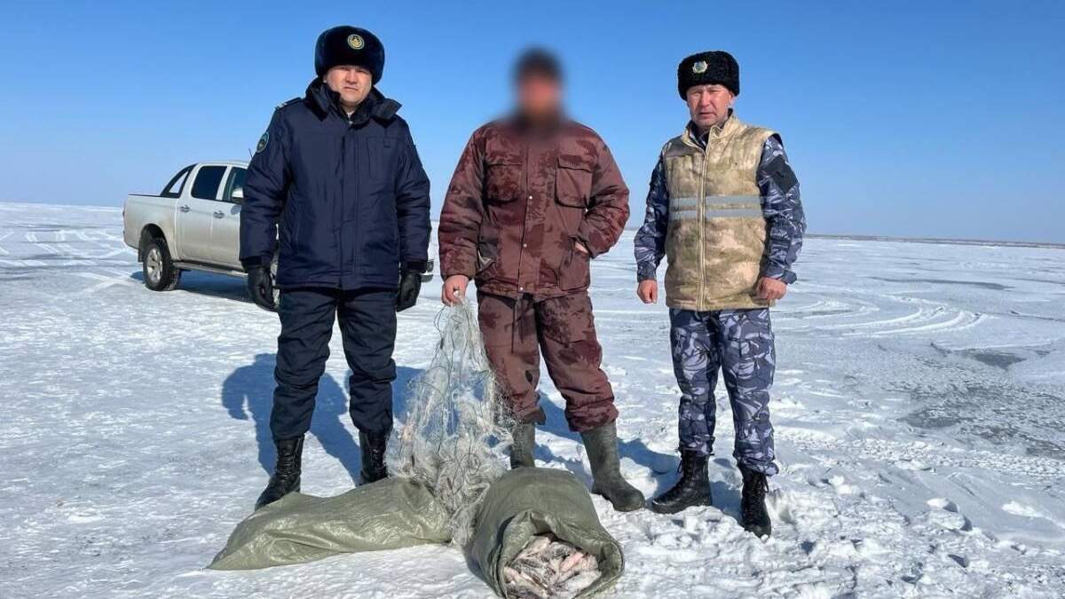 Заңсыз балық аулау