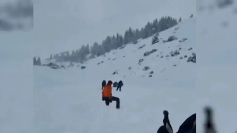 Қар көшкіні