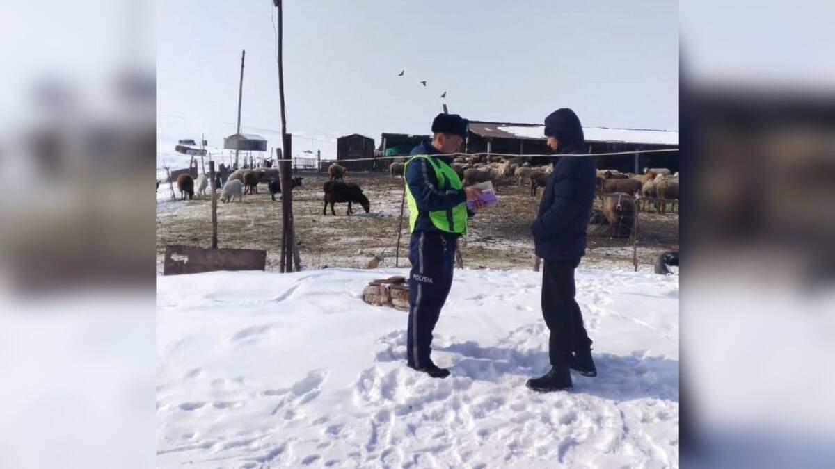 Полиция