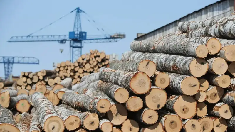 Ағаш өнімдері