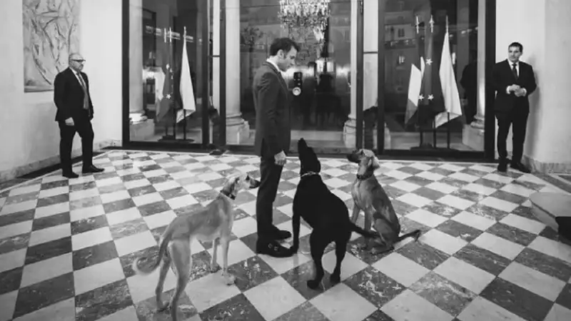 Макрон тазылармен