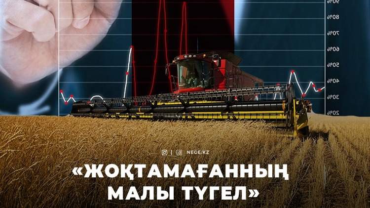 Шаруашылық
