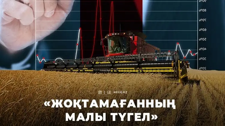 Шаруашылық