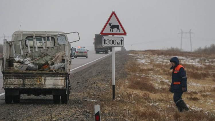 жод
