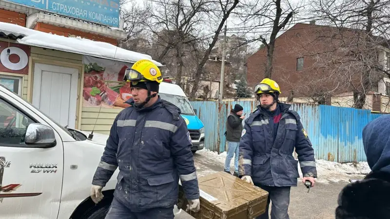 лай көшкіні 