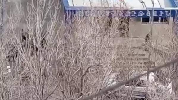 атыс